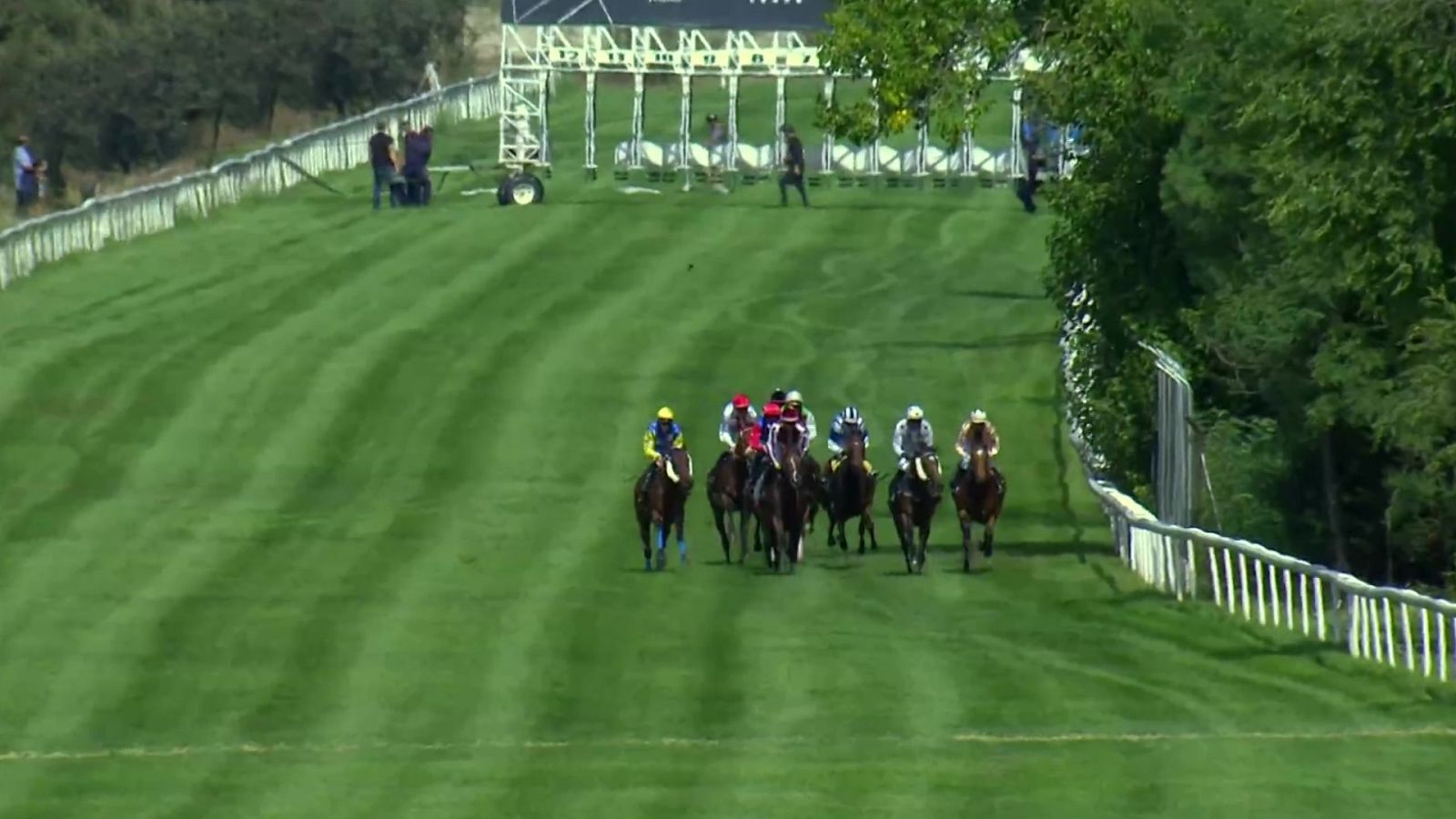 Hípica - Circuito nacional de carreras de caballos. Hipódromo de La Zarzuela - ver ahora