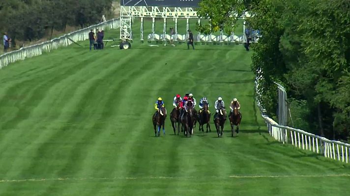 Hípica - Carreras de caballos. Desde el Hipódromo de La Zarzuela