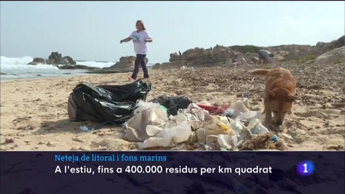 Informatiu Balear - Un dia europeu per fer net les platges