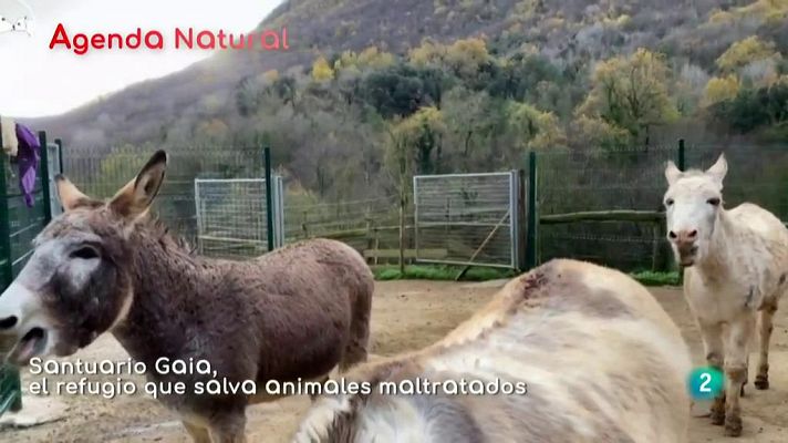 La aventura del Saber - Agenda natural