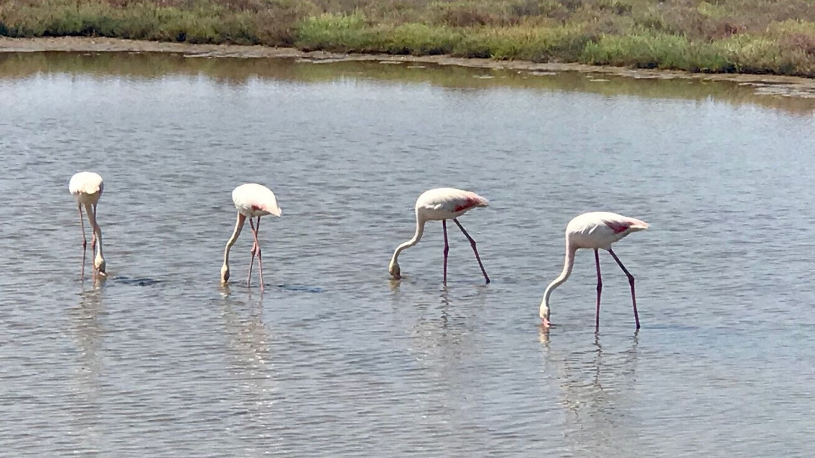 Para todos La2 - 25/09/21 - Lengua de signos - ver ahora