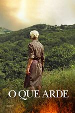 Poster de Lo que arde