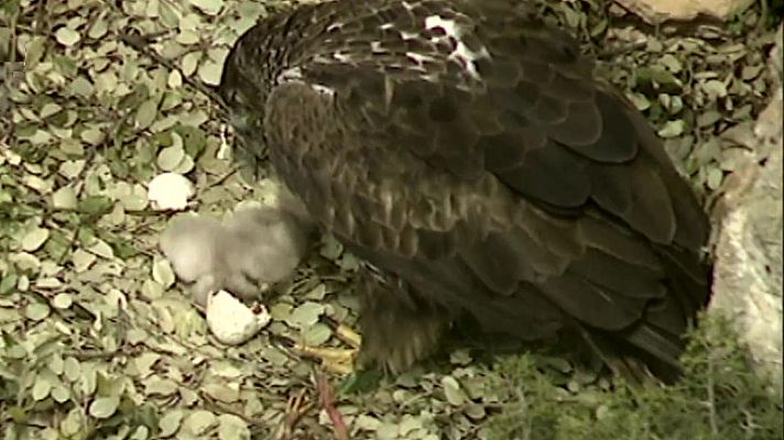 El universo escondido - Las cicatrices de la tierra
