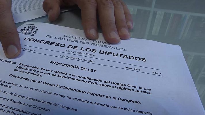 Comando Actualidad - Las mascotas serán reconocidas civilmente como "seres que si