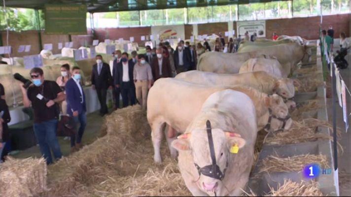 Noticias de Extremadura - Inauguración de la Feria Ganadera de Zafra 2021