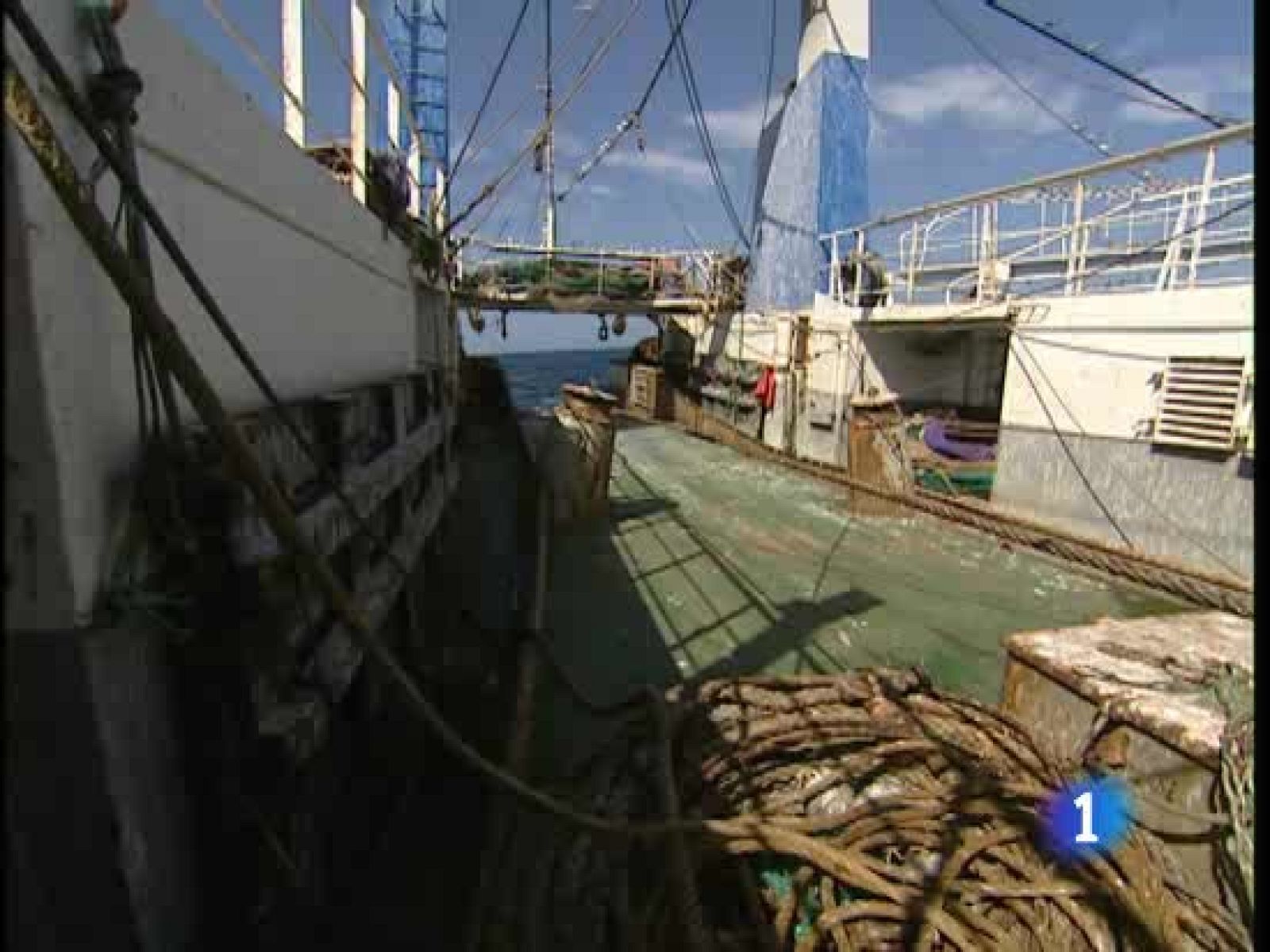 Las autoridades de Guinea Bissau retienen desde hace 15 días a tres barcos españoles con unos 50 tripulantes | Ver