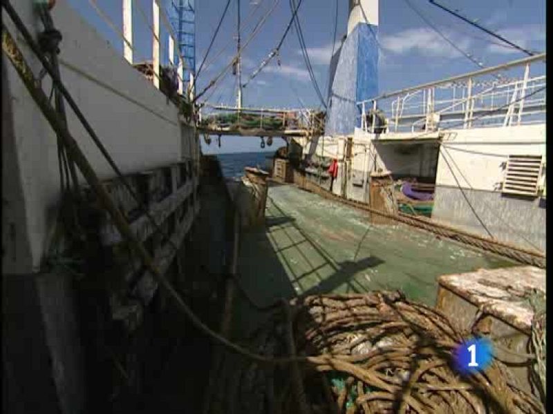 Las autoridades de Guinea Bissau retienen desde hace 15 días a tres barcos españoles con unos 50 tripulantes | Ver