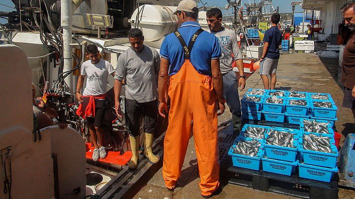Telediario 2 - La justicia europea respalda al Sáhara y anula los acuerdos de pesca entre los 27 y Marruecos