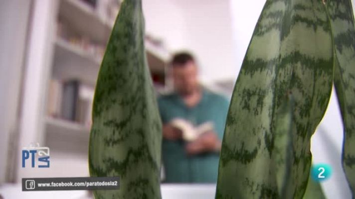 Para todos La 2 - La percepción