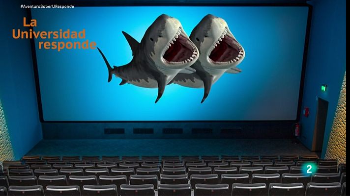 La aventura del Saber - ¿Por qué necesitamos gafas polarizadas para ver cine en 3D?