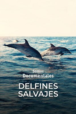 Somos Documentales - Delfines salvajes