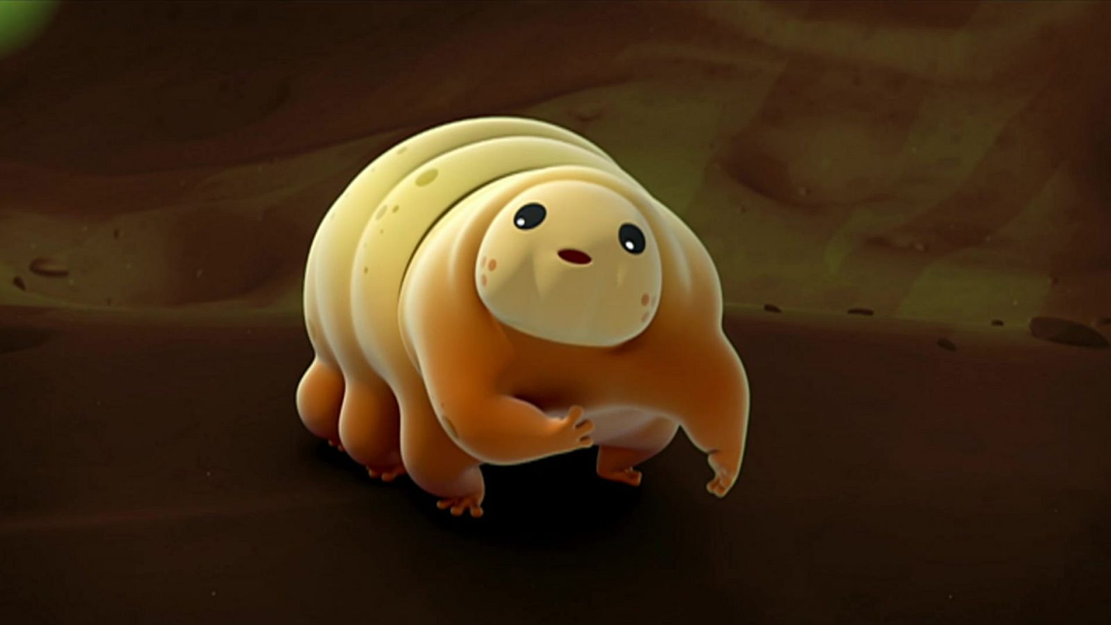 Los osos de agua - Los Octonautas | Ver