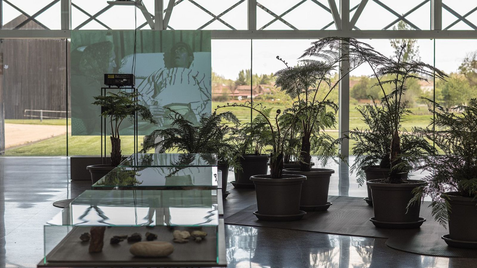 Metrópolis - A punto de ser nada - ver ahora