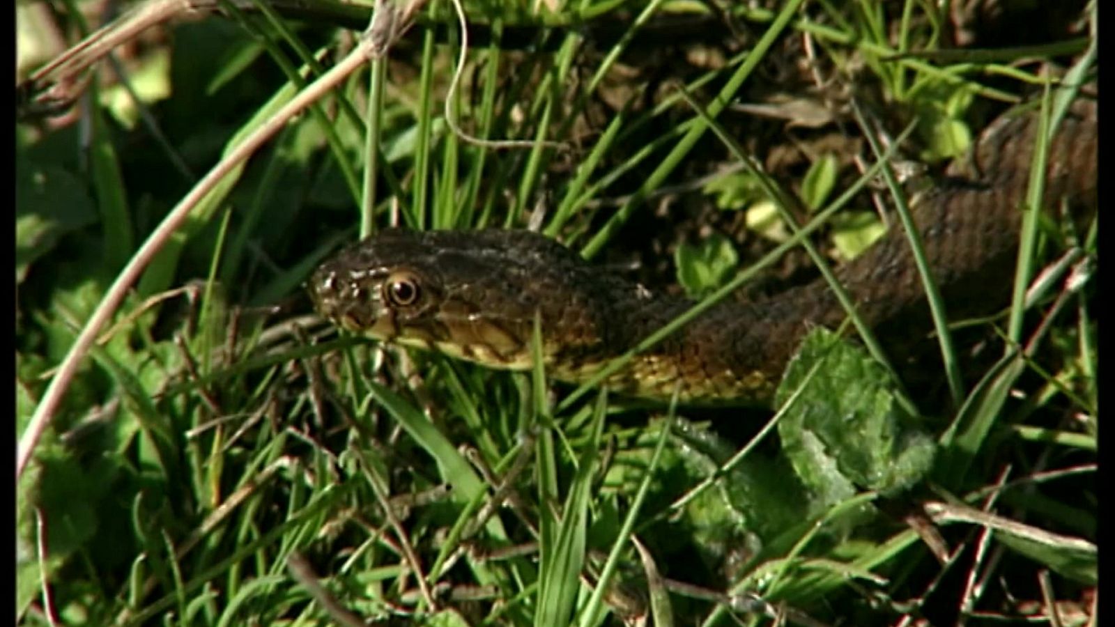 El universo escondido - Episodio 7: La frontera líquida - ver ahora