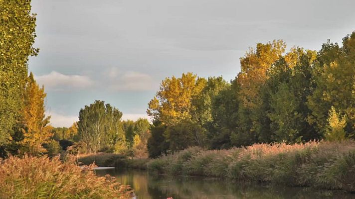 El tiempo - Lluvias localmente fuertes o persistentes al final del día en Galicia. Temperaturas significativamente altas en Canarias