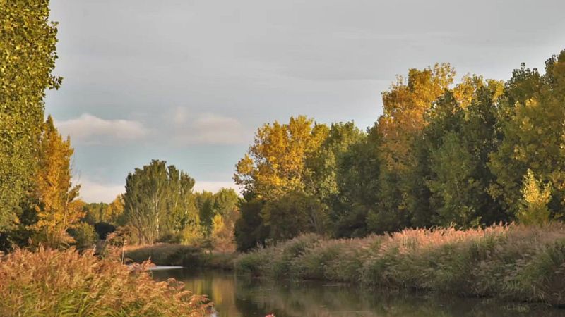 Lluvias localmente fuertes o persistentes al final del día en Galicia. Temperaturas significativamente altas en Canarias - ver ahora