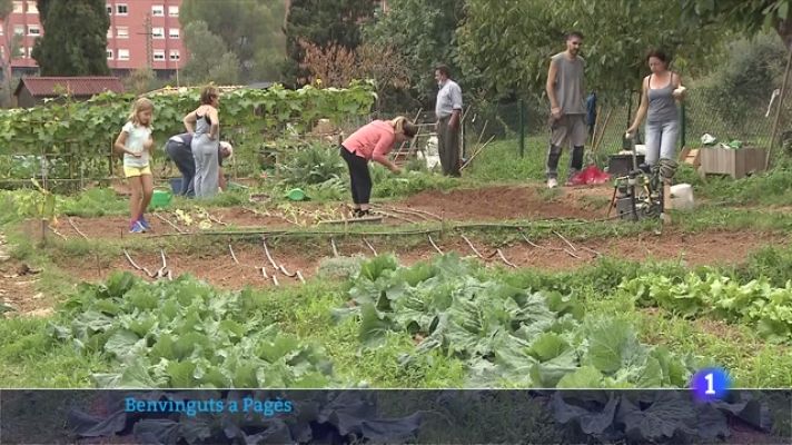 L'Informatiu - 'Benvinguts a pagès', com és viure al camp i com s'hi treballa?