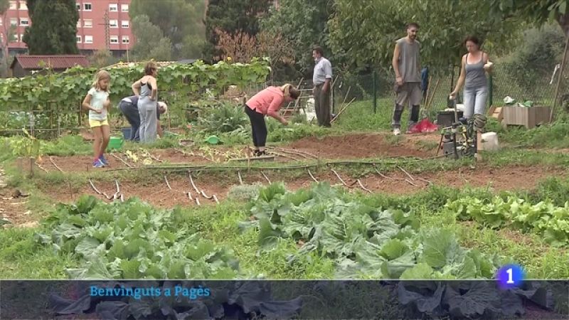 'Benvinguts a pagès', com és viure al camp i com s'hi treballa?