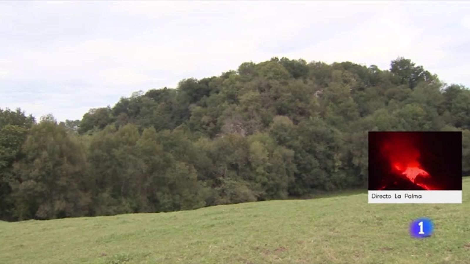 Unos dibujos de enorme valor arqueológico
