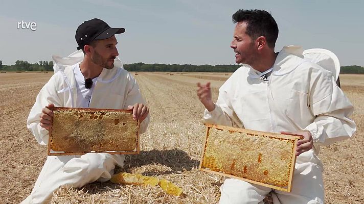 Aquí la Tierra - Aquí la Tierra - 03/10/21