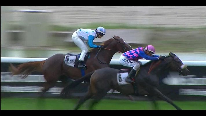 Hípica - Circuito nacional carreras de caballos (Hipód. La Zarzuela)