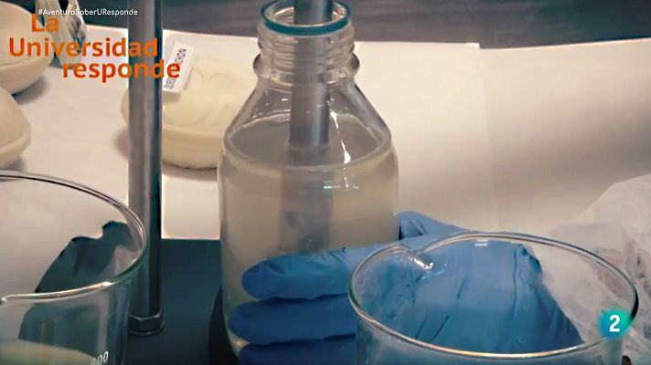 La aventura del Saber - ¿Alternativas al plástico en el envasado de alimentos?