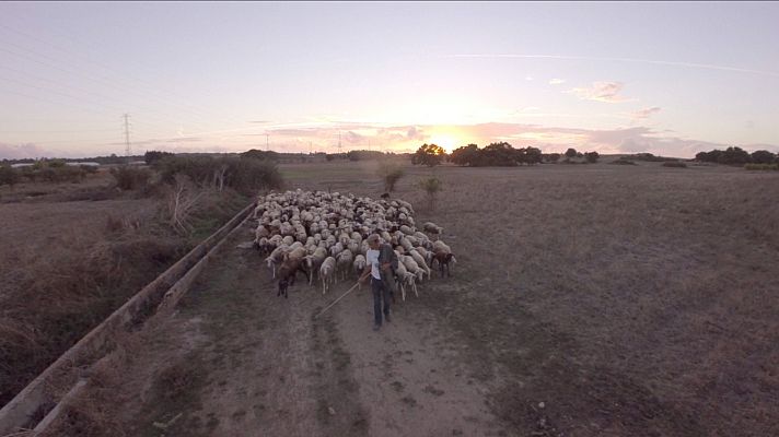 Exploradores del sabor - Escocia