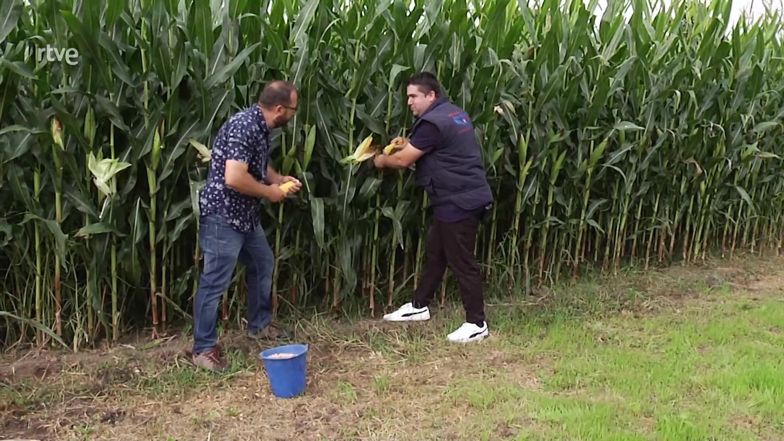 Aquí la Tierra - 04/10/21 - ver ahora