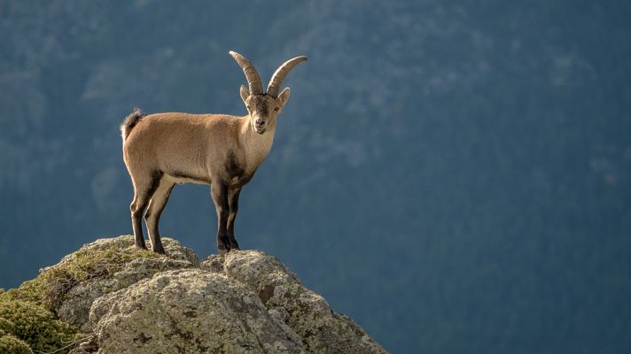 El universo escondido - Prisioneros de las cumbres