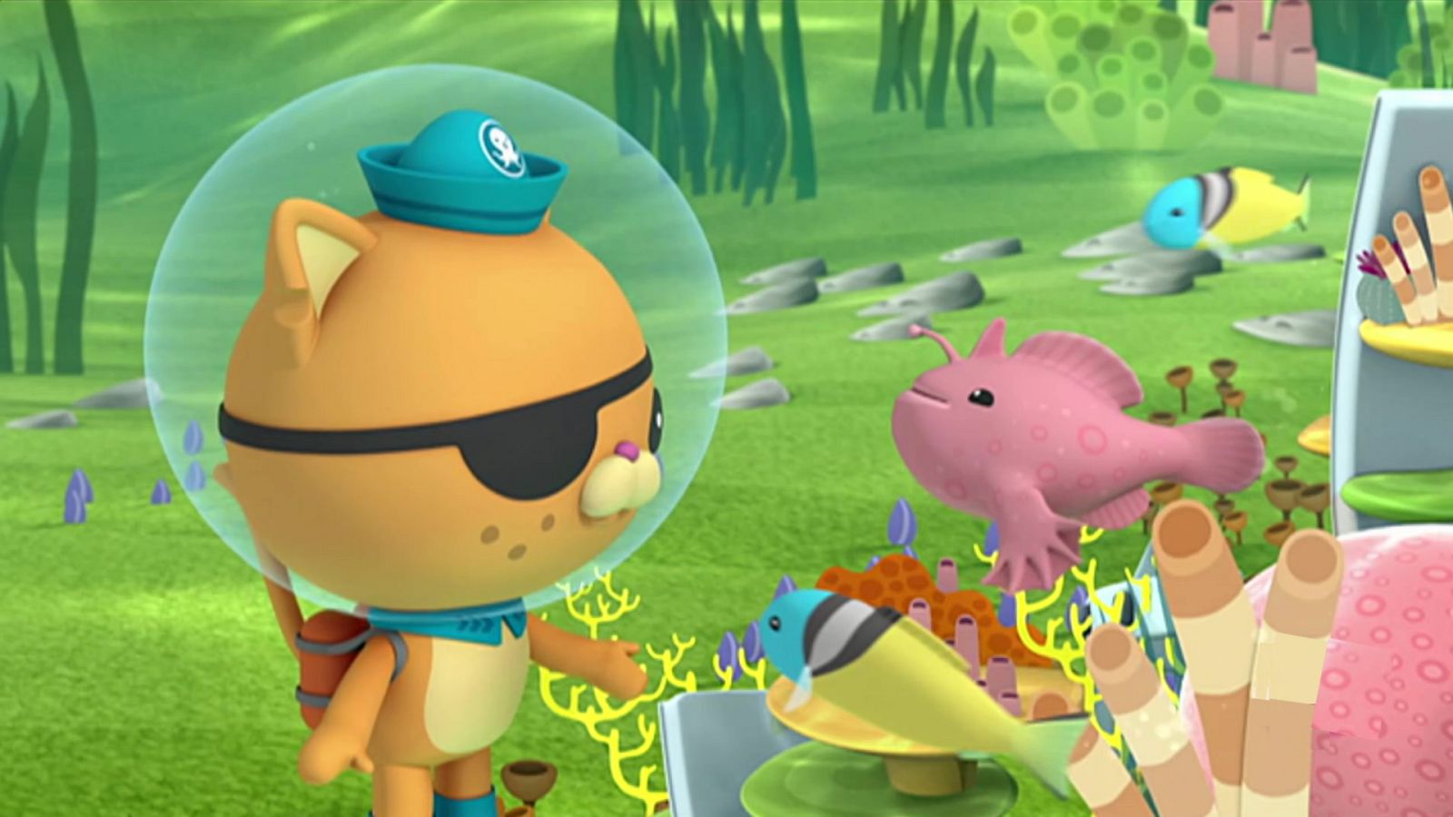 El arrecife artificial - Los Octonautas | Ver