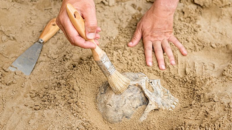 Documentos TV - Las fosas del olvido