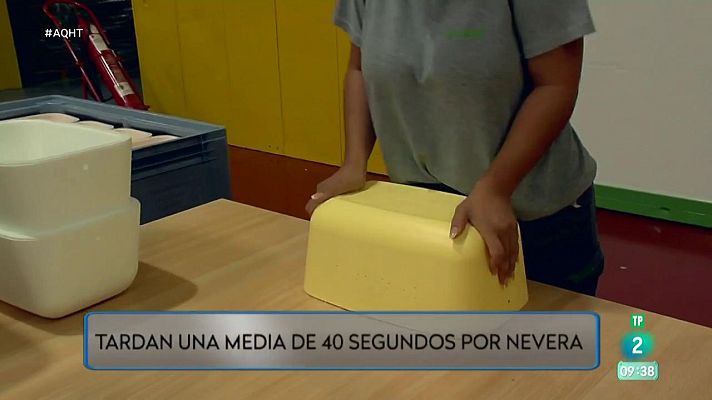 Aquí hay trabajo - Las neveras leperas que triunfan