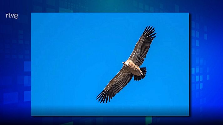 Saber y ganar - Saber y ganar. Edición de fin de semana - 09/10/21