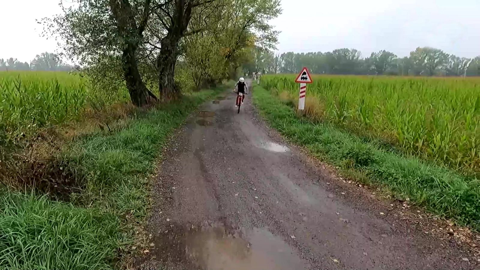 Mountain Bike - Cataluña Bike Race - ver ahora