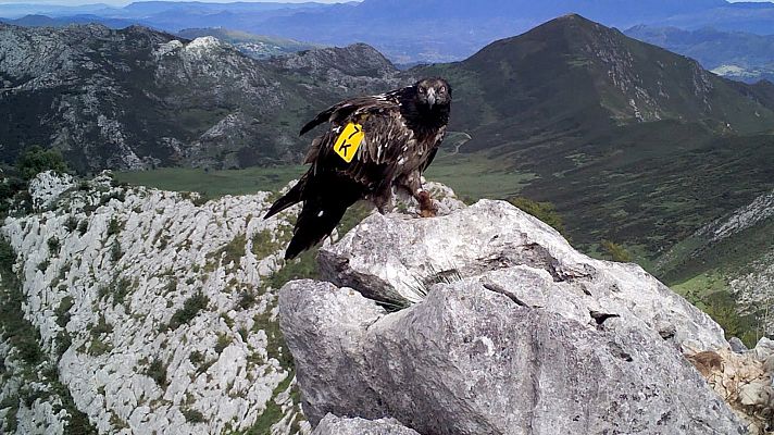Reduce tu huella - Agua, viento y tierra