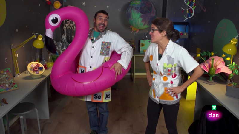 Aprendemos en Clan - CIENCIAS NATURALES - El flamenco rosa - RTVE.es - Aprendemos en Clan | Ver