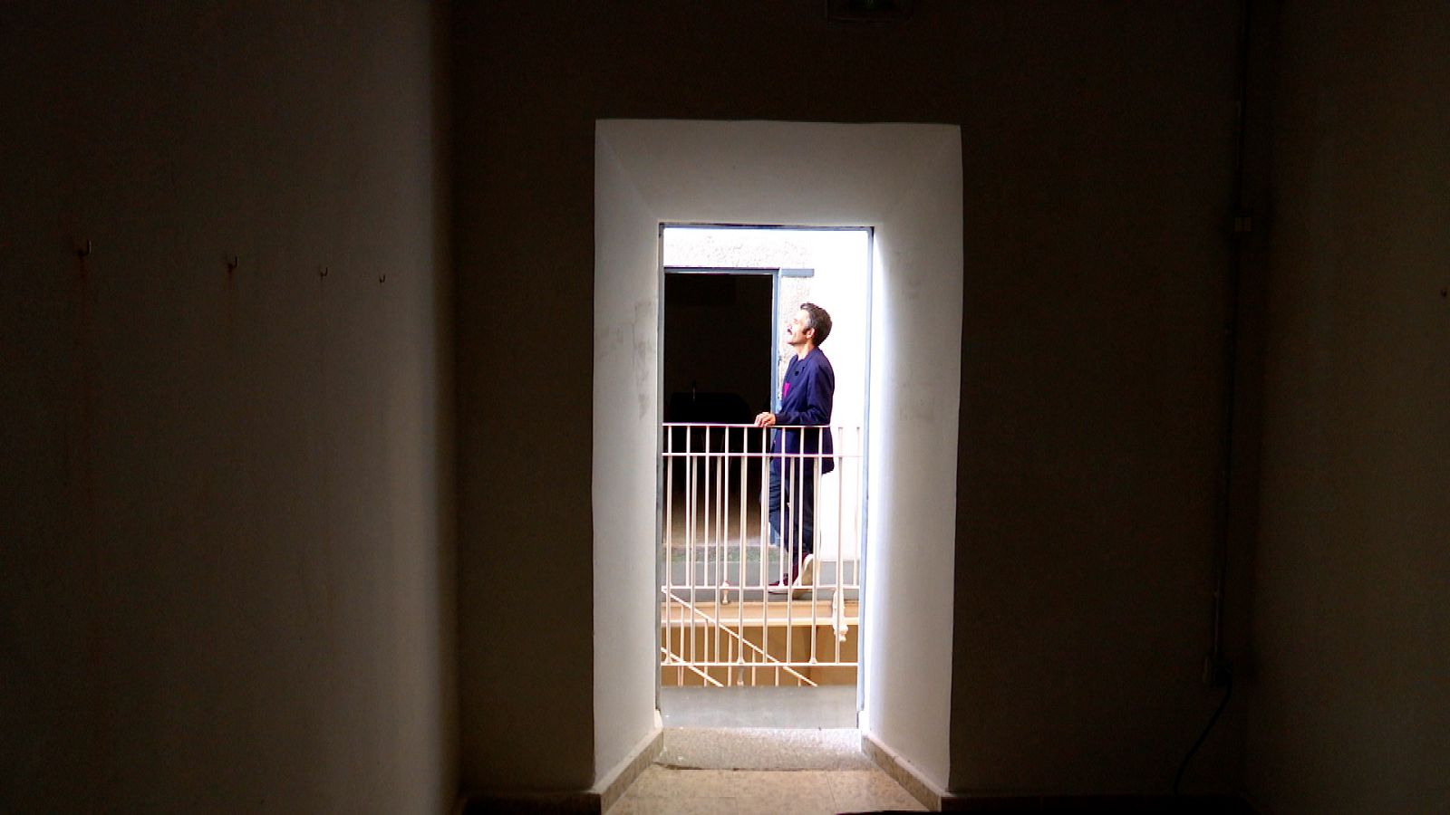 Zoom Net - SUTUS 2021, LIVALL y Weird Market 2021 - ver ahora