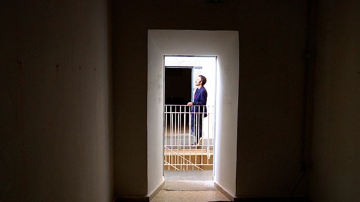 Zoom net - SUTUS 2021, LIVALL y Weird Market 2021