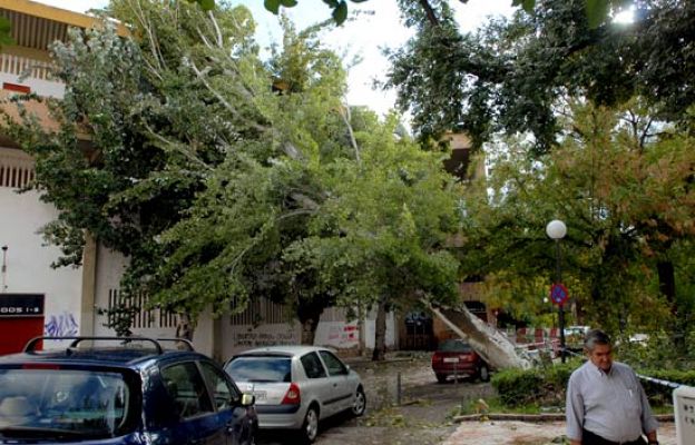  - Daños por el temporal de lluvia