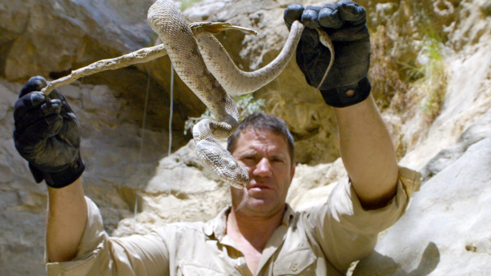 Expedición con Steve Backshall - Episodio 6: Omán, el cañón desértico - ver ahora