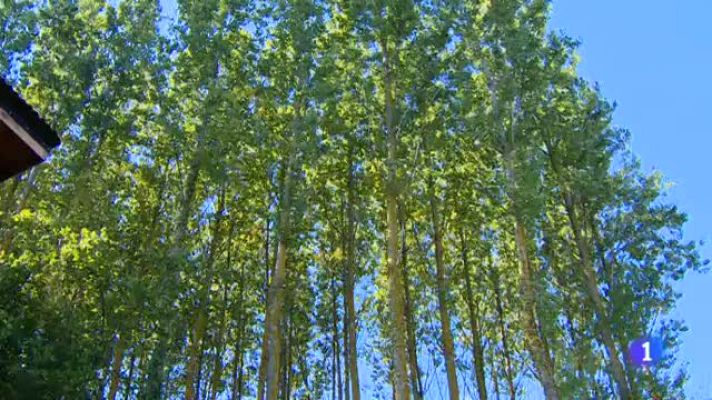 Informativo Telerioja - Informativo Telerioja - 11/10/21