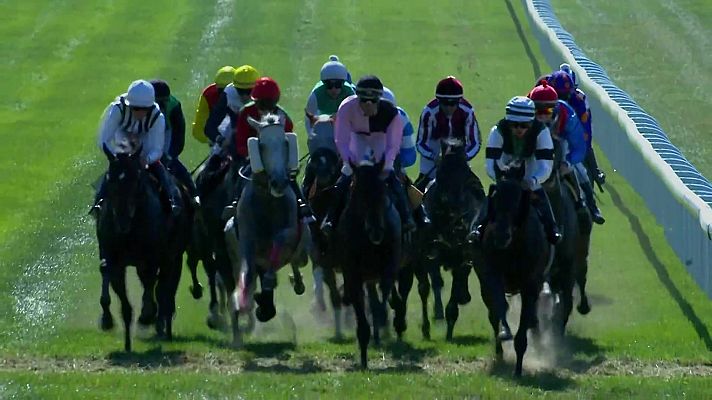 Hípica - Circuito nacional carreras de caballos (Hipód. La Zarzuela)