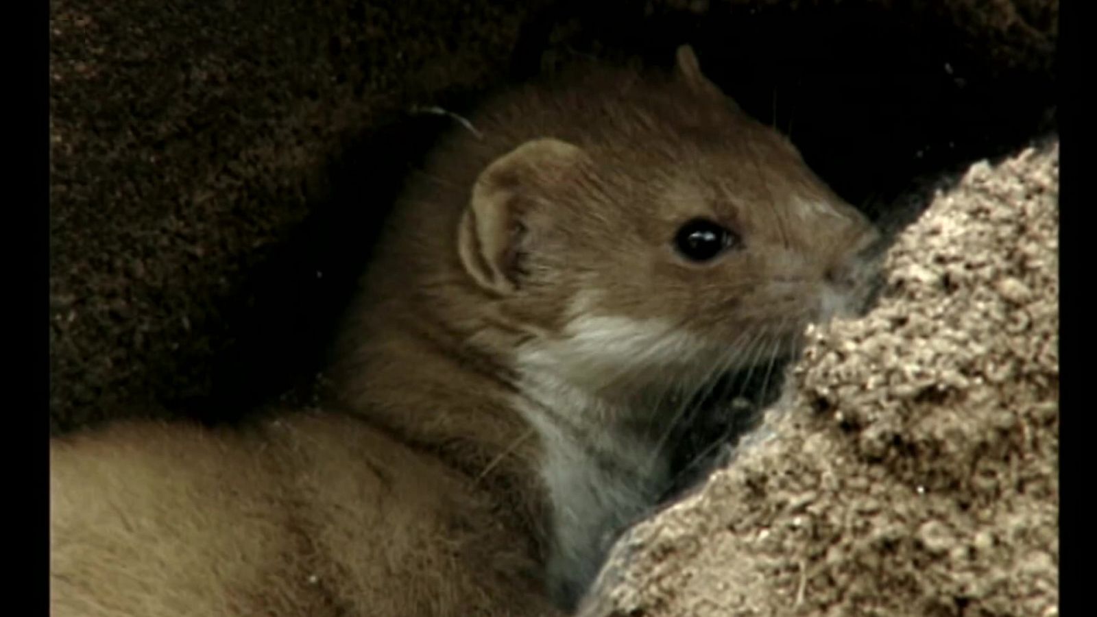 El universo escondido - Episodio 21: Las entrañas de la tierra - ver ahora