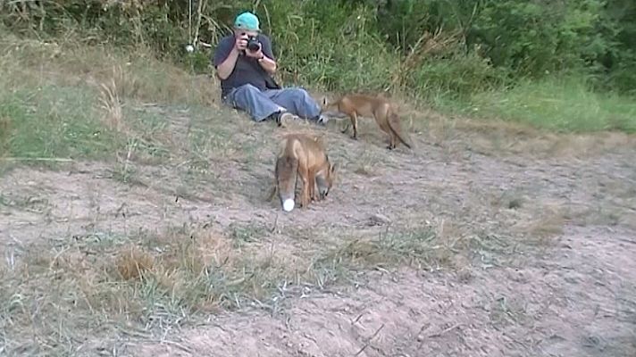 Telenavarra - Los zorros de Idocin