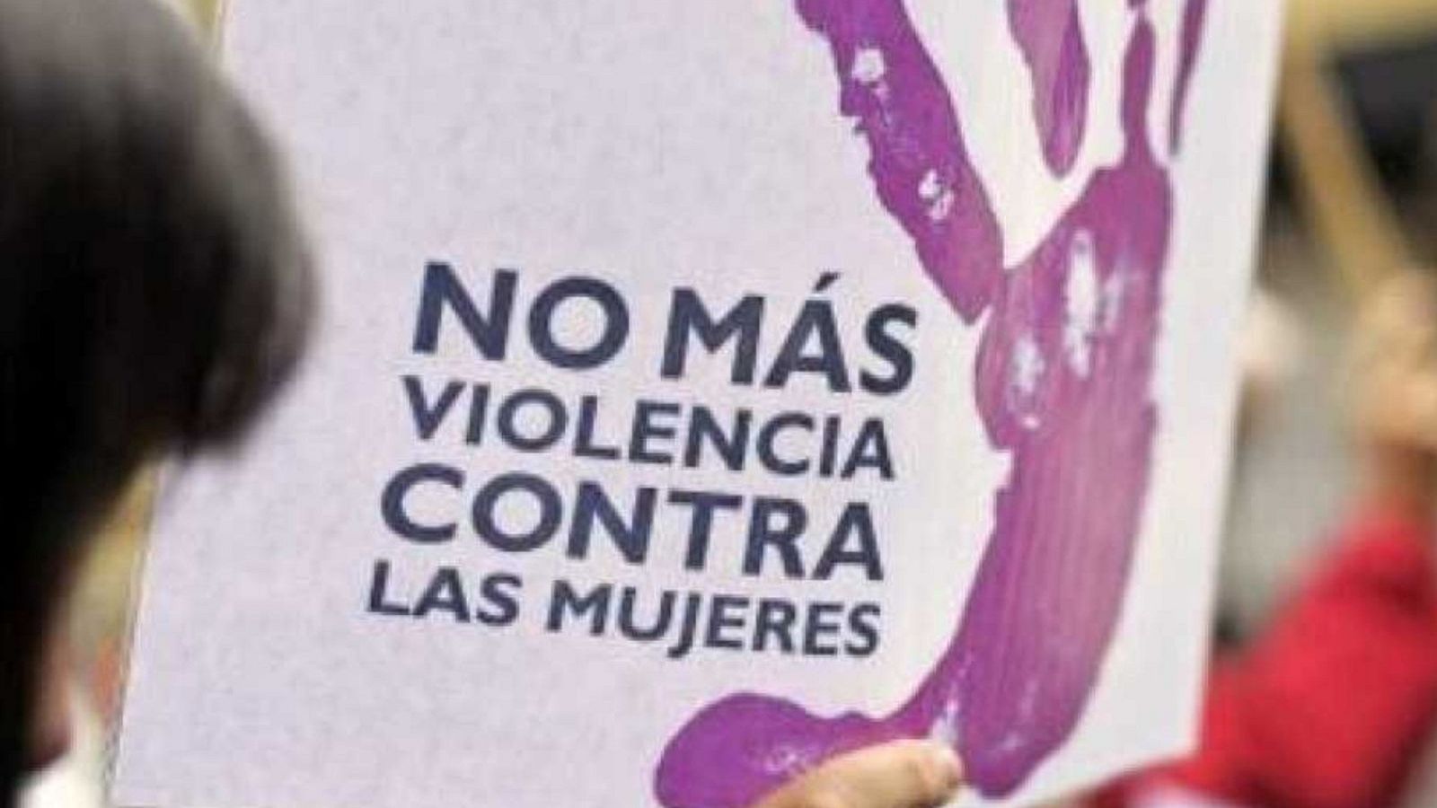 El presupuesto para Igualdad superará los 500 millones - Ver ahora