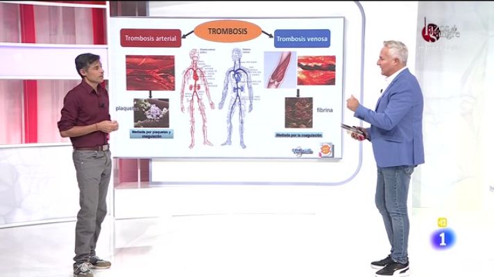 Cerca de ti - Cerca de ti - 13/10/2021