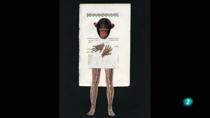 La aventura del Saber - Boek visual: Antonio Gómez