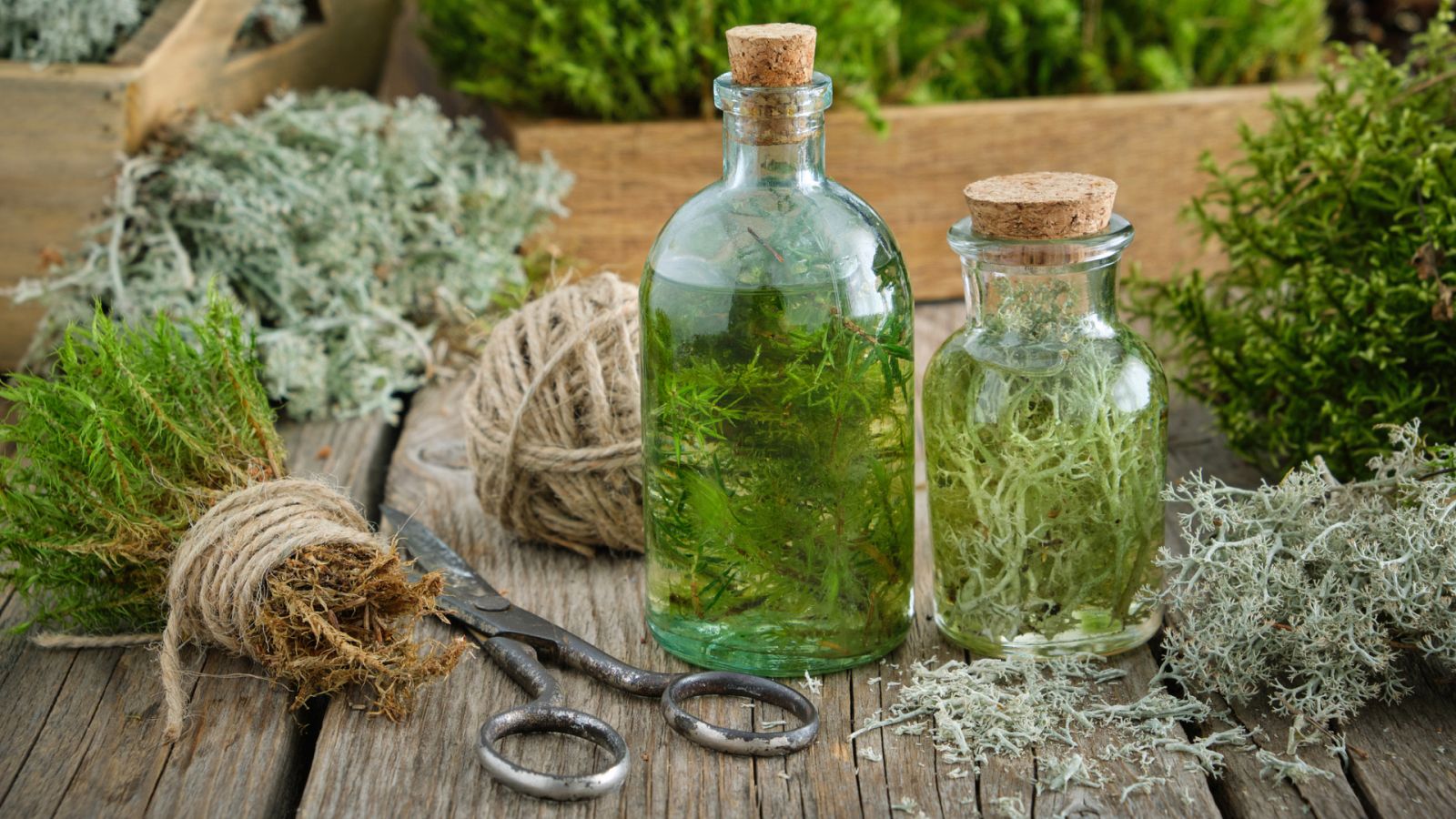 Aquí la Tierra - La tradición ibicenca del licor de hierbas