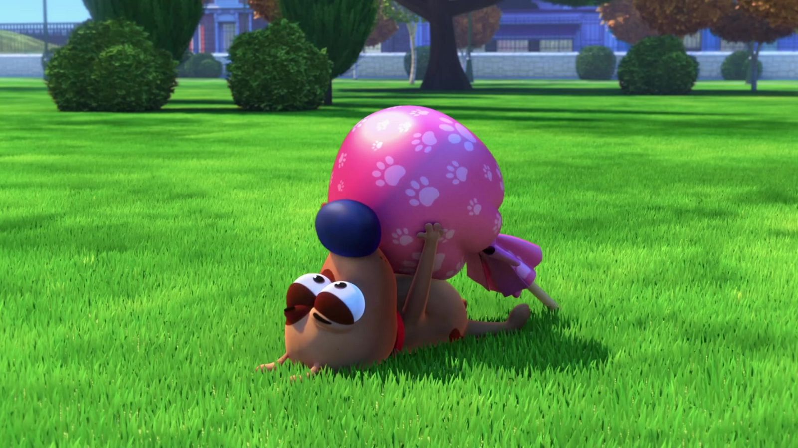 Demasiado inflado - Pat el perro | Ver