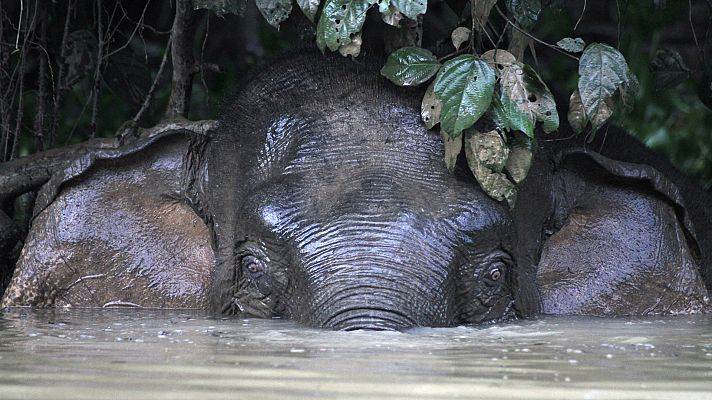 Obreros de la naturaleza - Maquinaria pesada